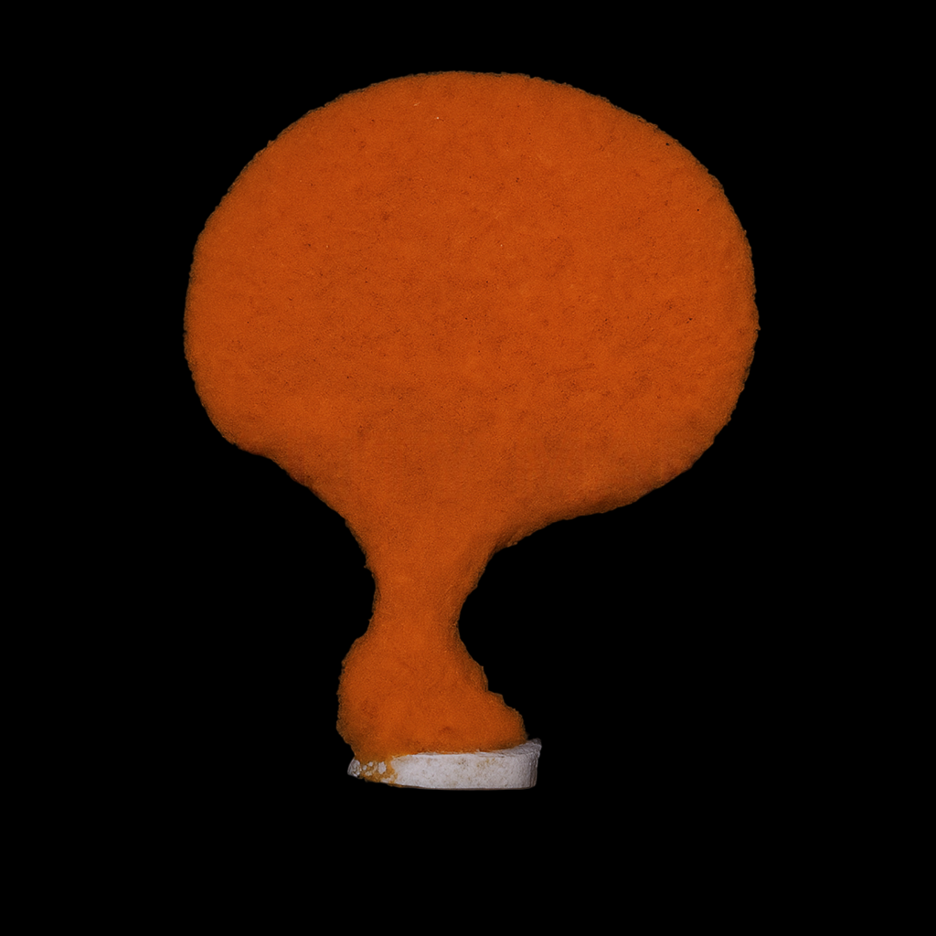 Orange Elephant Ear Sponge