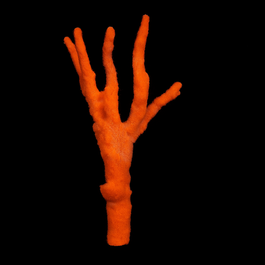 Red Tree Sponge