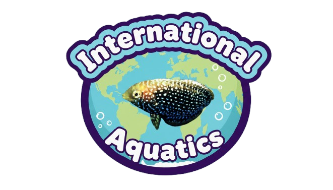International Aquatics Logo
